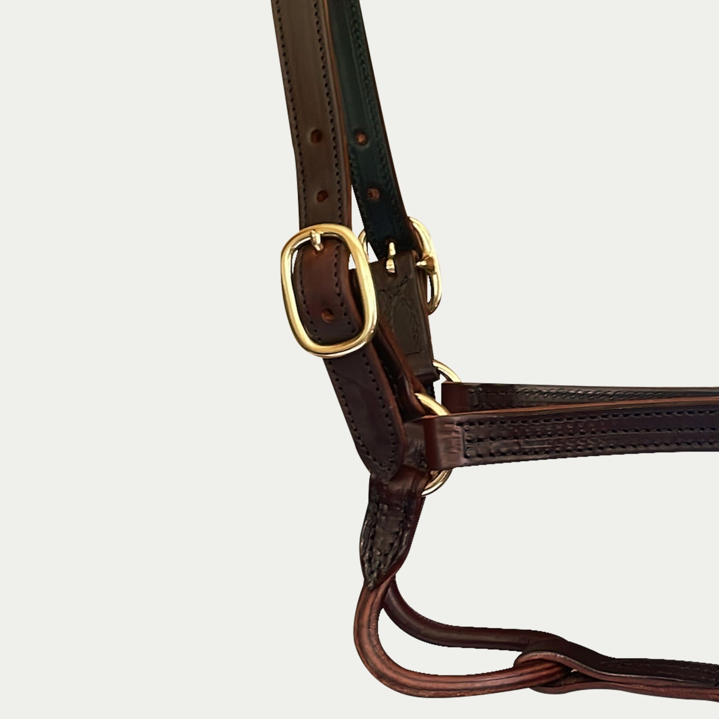 Leather Dress Halter w/ Buckle Chin