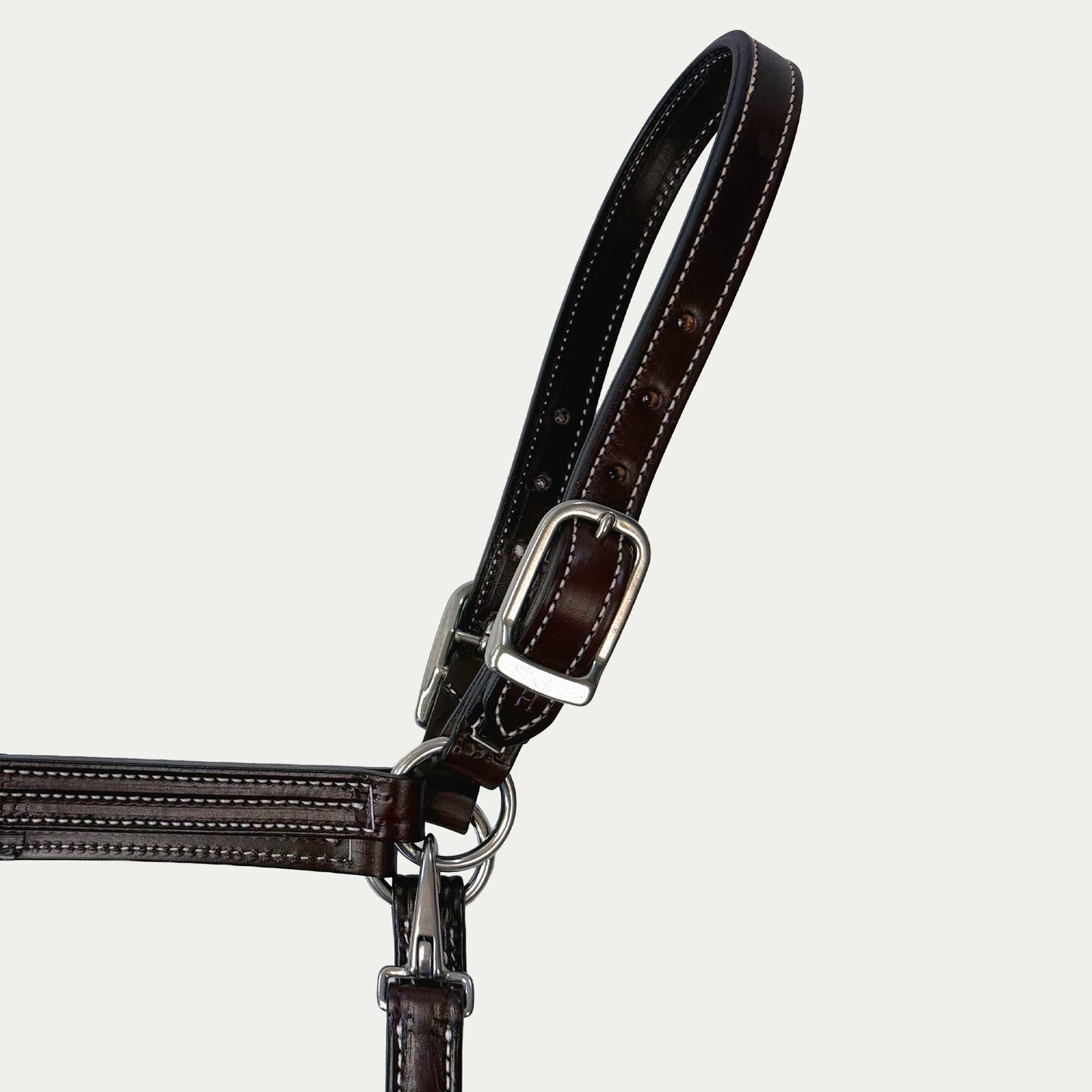 Leather Show Halter w/ Stainless Steel
