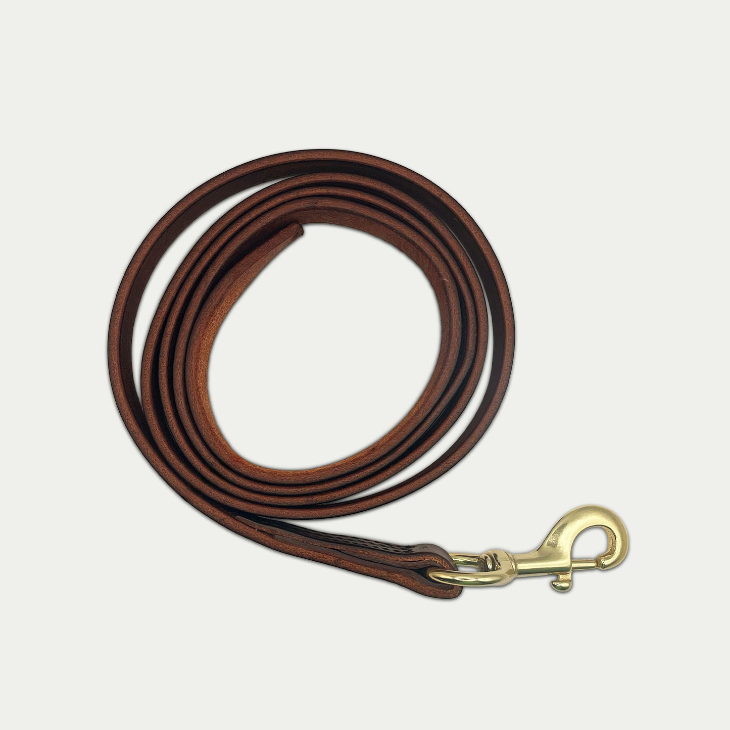 Leather Lead w/ Snap