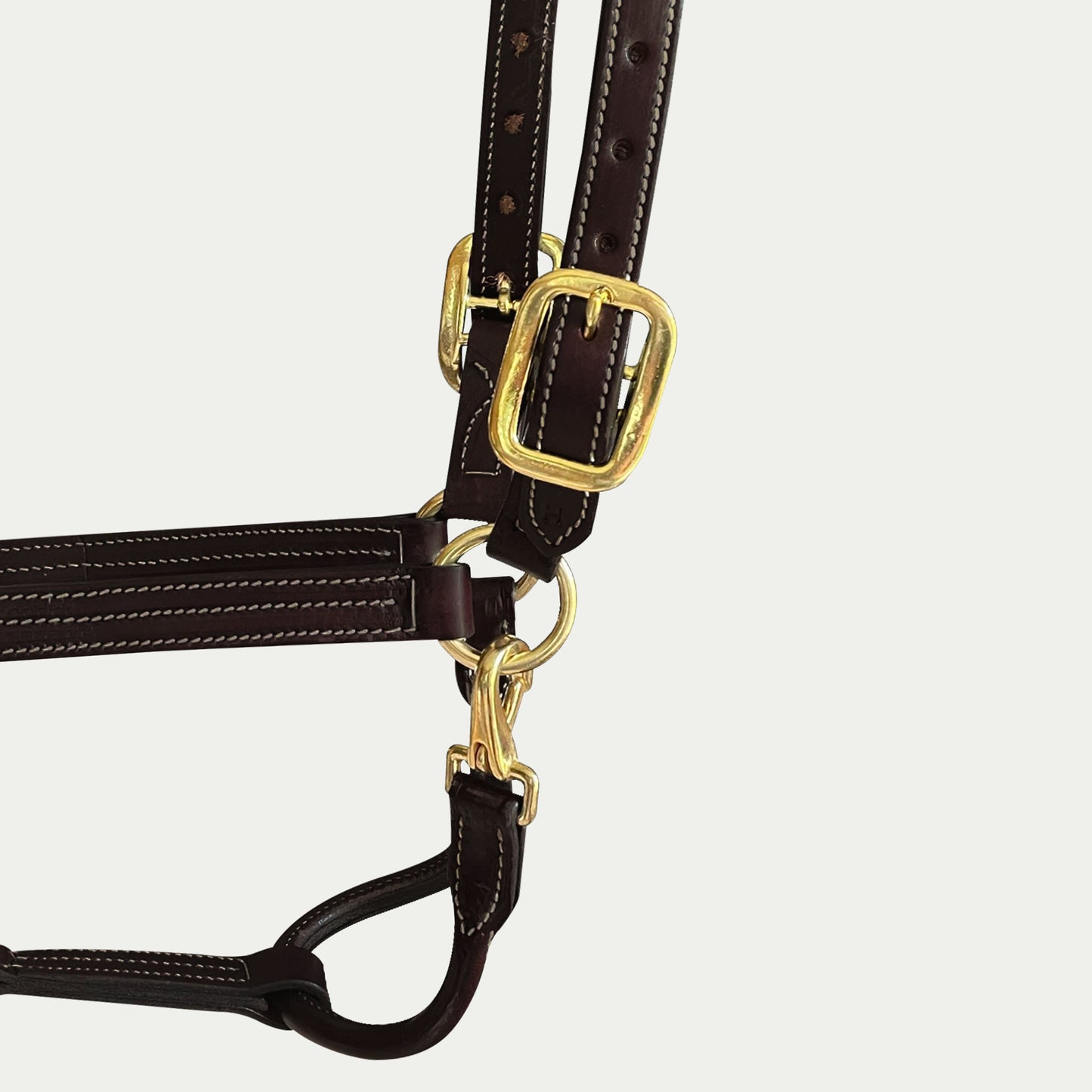 Leather Show Halter
