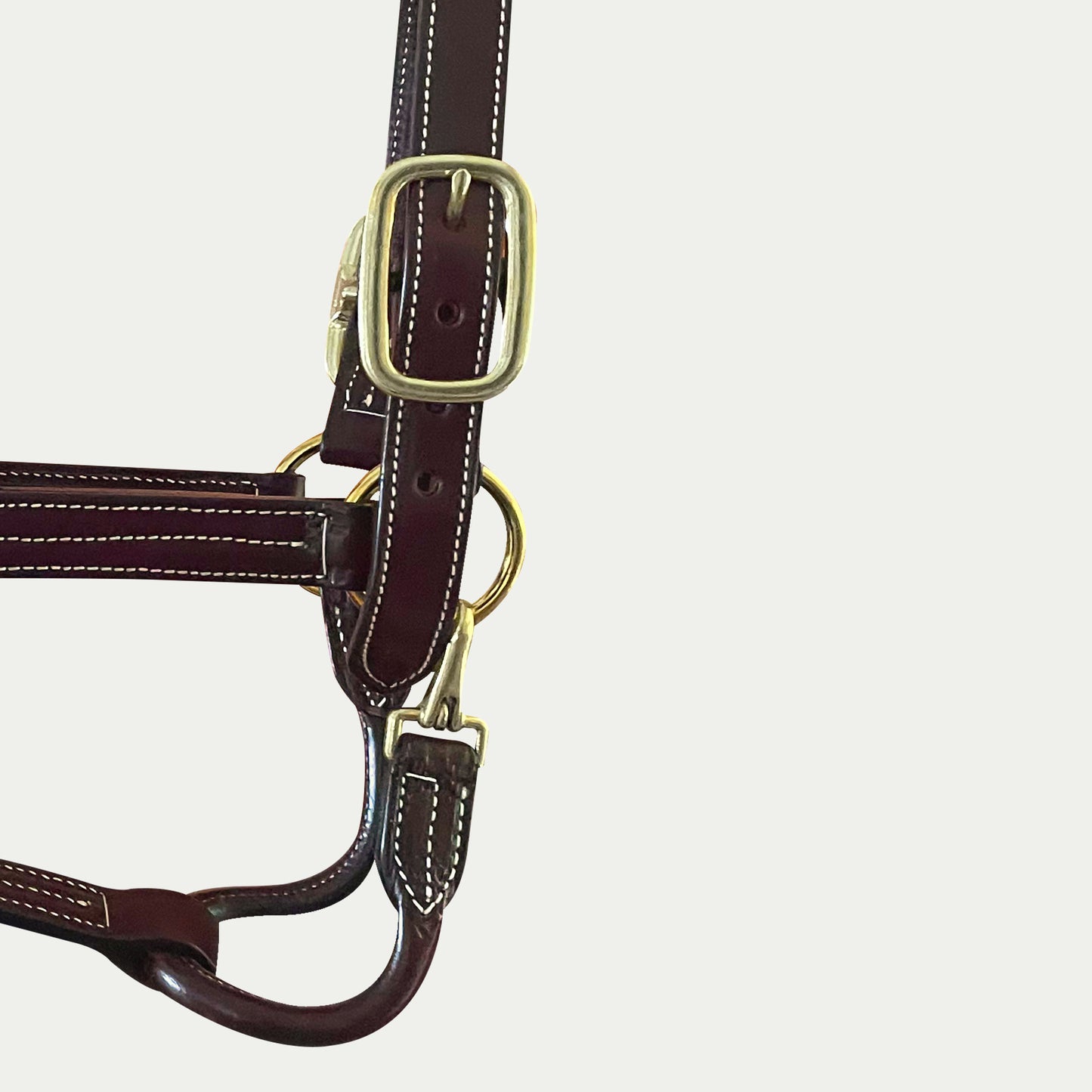 Leather Stallion Show Halter