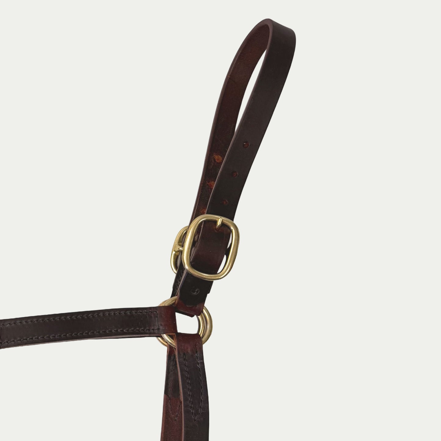 Two Buckle Leather Turnout Halter w/ Buckle Chin