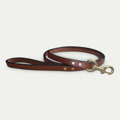 Leather Stitched Dog Leash