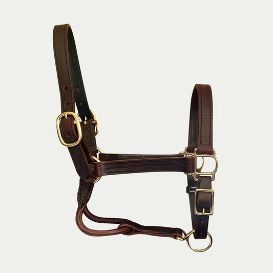 Leather Dress Halter w/ Buckle Chin