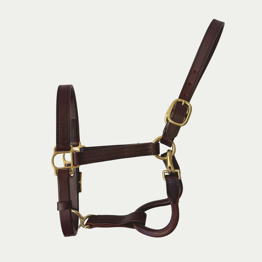 Leather Dress Halter w/ Buckle Chin & Throat Snap