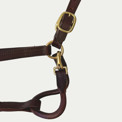 Leather Dress Halter w/ Buckle Chin & Throat Snap