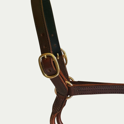 Leather Dress Halter w/ English Chin