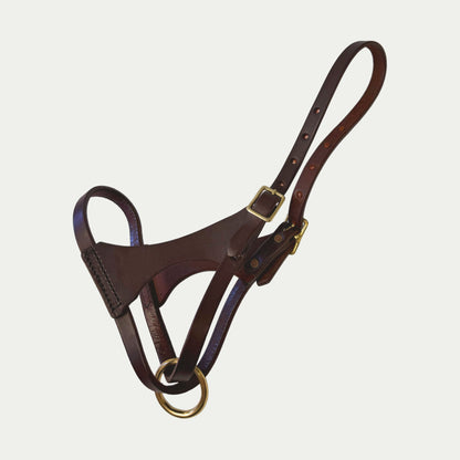 French Calf Turnout Halter