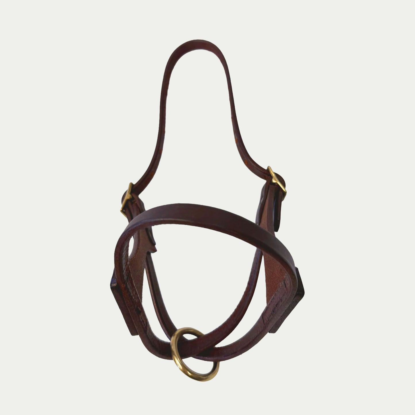 French Calf Turnout Halter