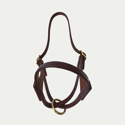 French Calf Turnout Halter
