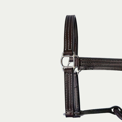 Leather Show Halter w/ Stainless Steel