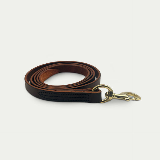 Leather Lead w/ Snap
