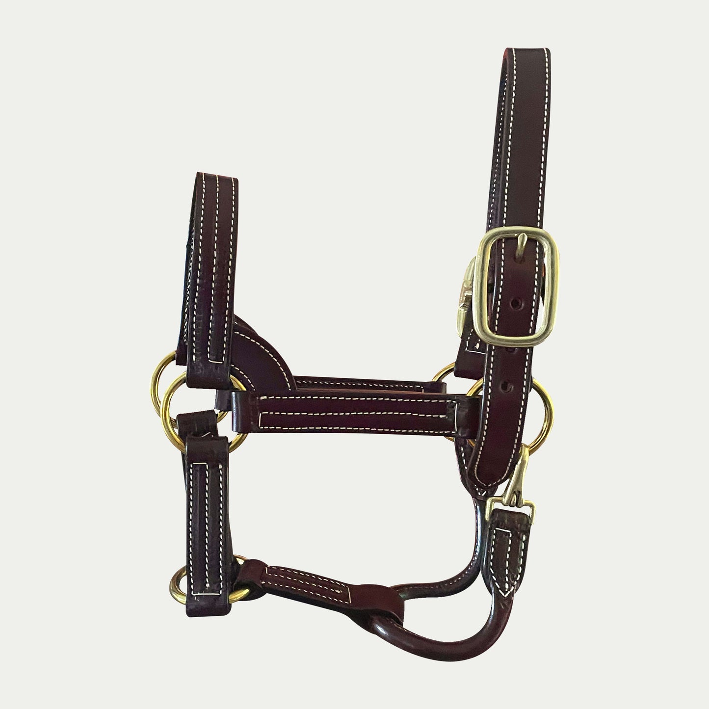 Leather Stallion Show Halter