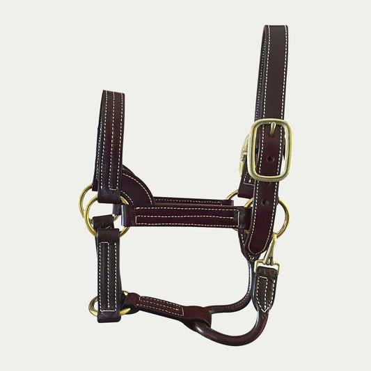 Leather Stallion Show Halter