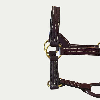 Leather Stallion Show Halter