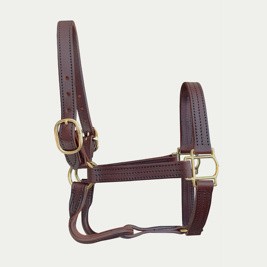 Leather Track Halter w/ English Chin