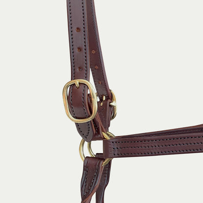 Leather Track Halter w/ English Chin