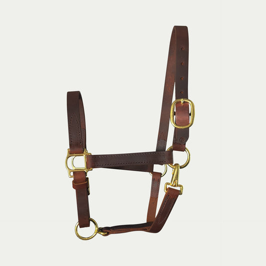 Leather Turnout Halter w/ Buckle Chin & Throat Snap