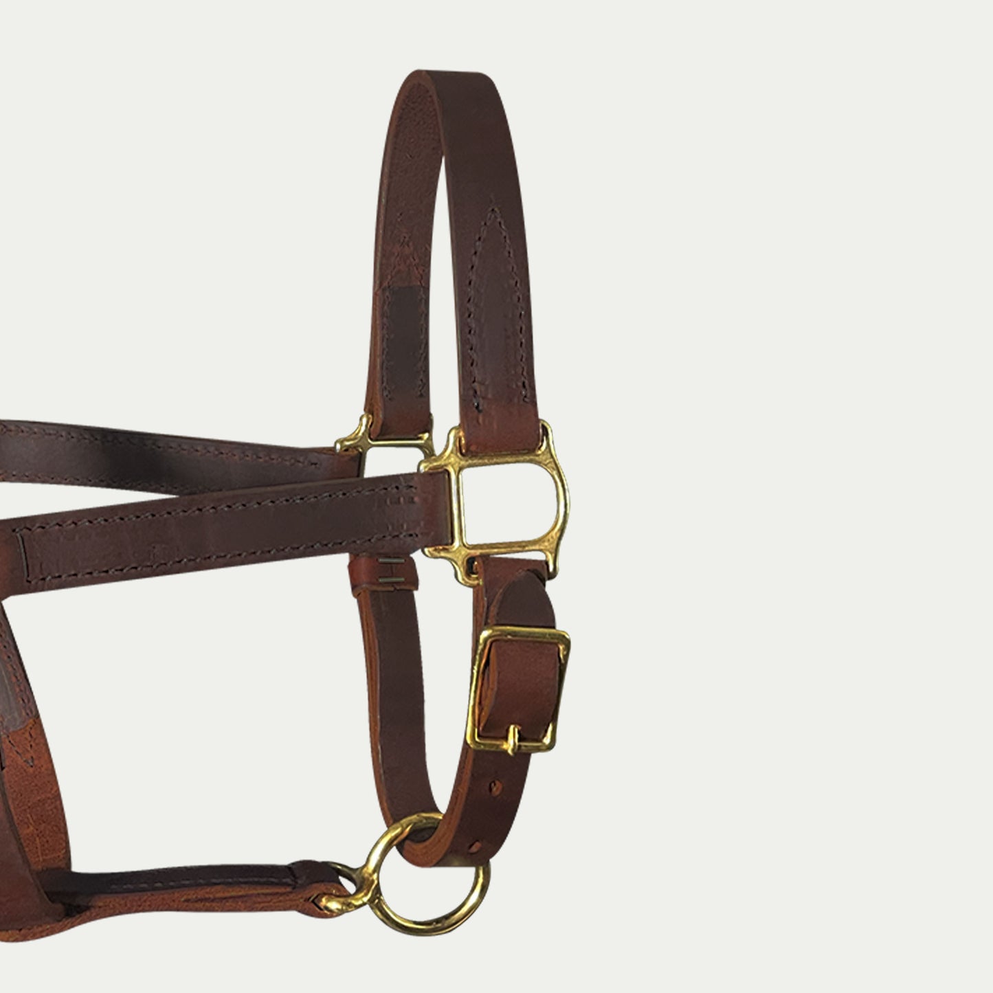Leather Turnout Halter w/ Buckle Chin & Throat Snap