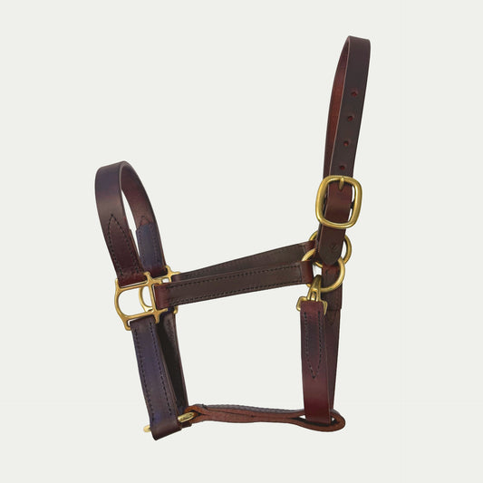 Leather Turnout Halter w/ English Chin & Throat Snap