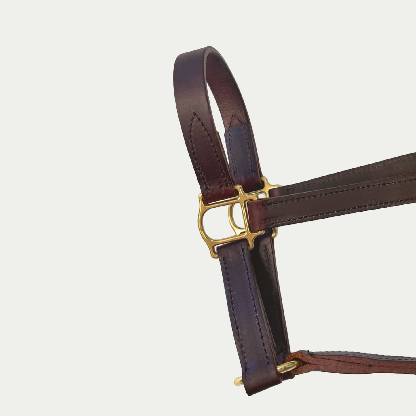 Leather Turnout Halter w/ English Chin & Throat Snap