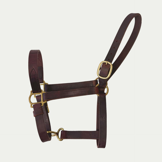 One Buckle Leather Turnout Halter w/ Buckle Chin