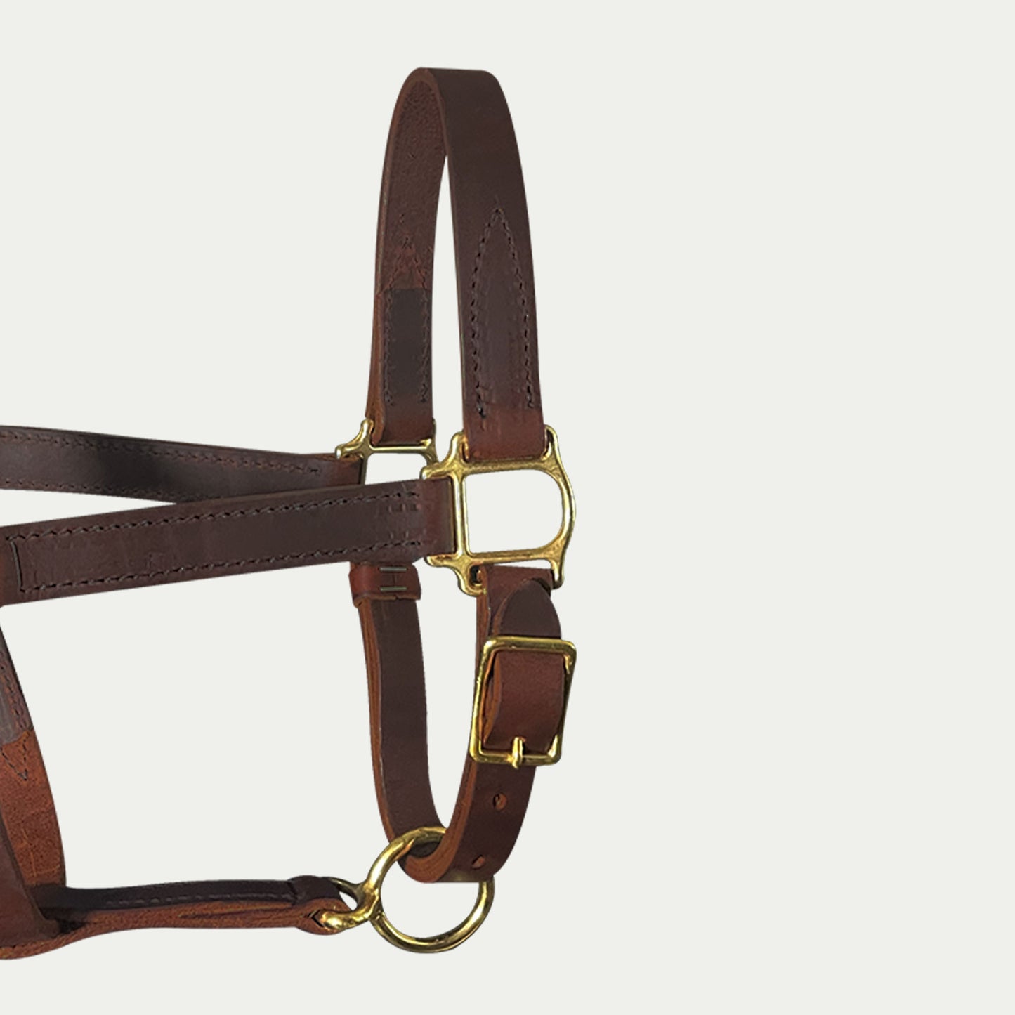One Buckle Leather Turnout Halter w/ Buckle Chin