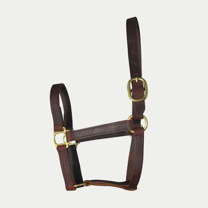 One Buckle Leather Turnout Halter w/ English Chin