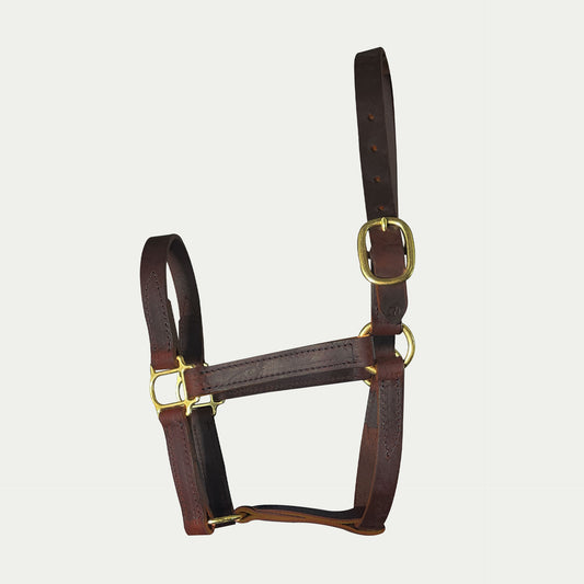 One Buckle Leather Turnout Halter w/ English Chin