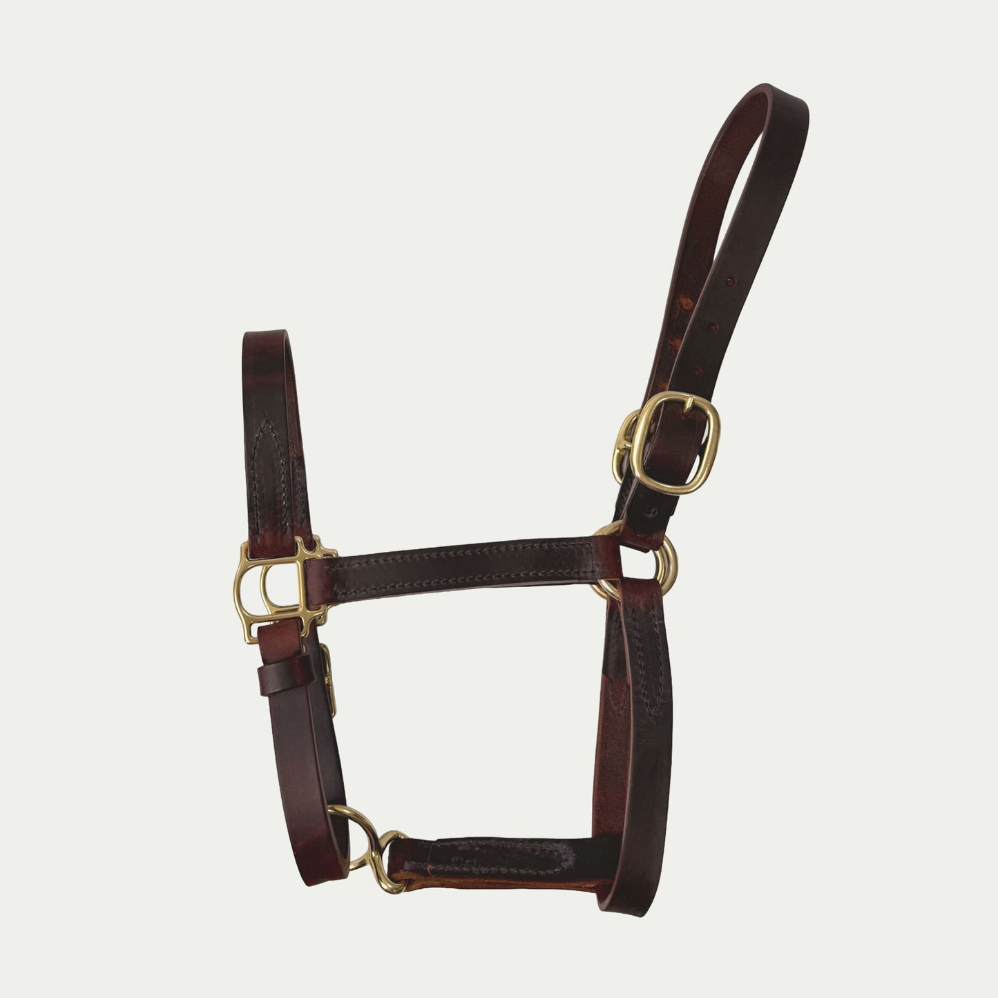 Two Buckle Leather Turnout Halter w/ Buckle Chin