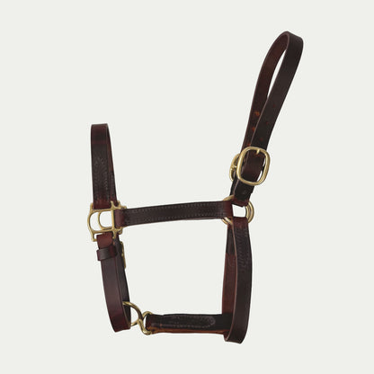 Two Buckle Leather Turnout Halter w/ Buckle Chin