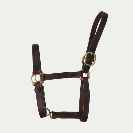 Two Buckle Leather Turnout Halter w/ Buckle Chin
