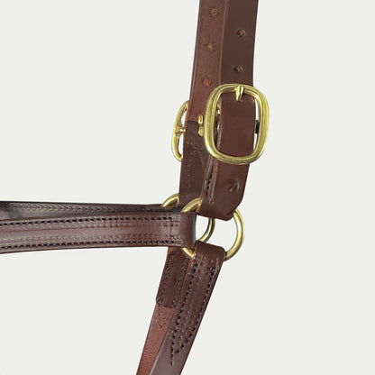 Two Buckle Leather Turnout Halter w/ English Chin
